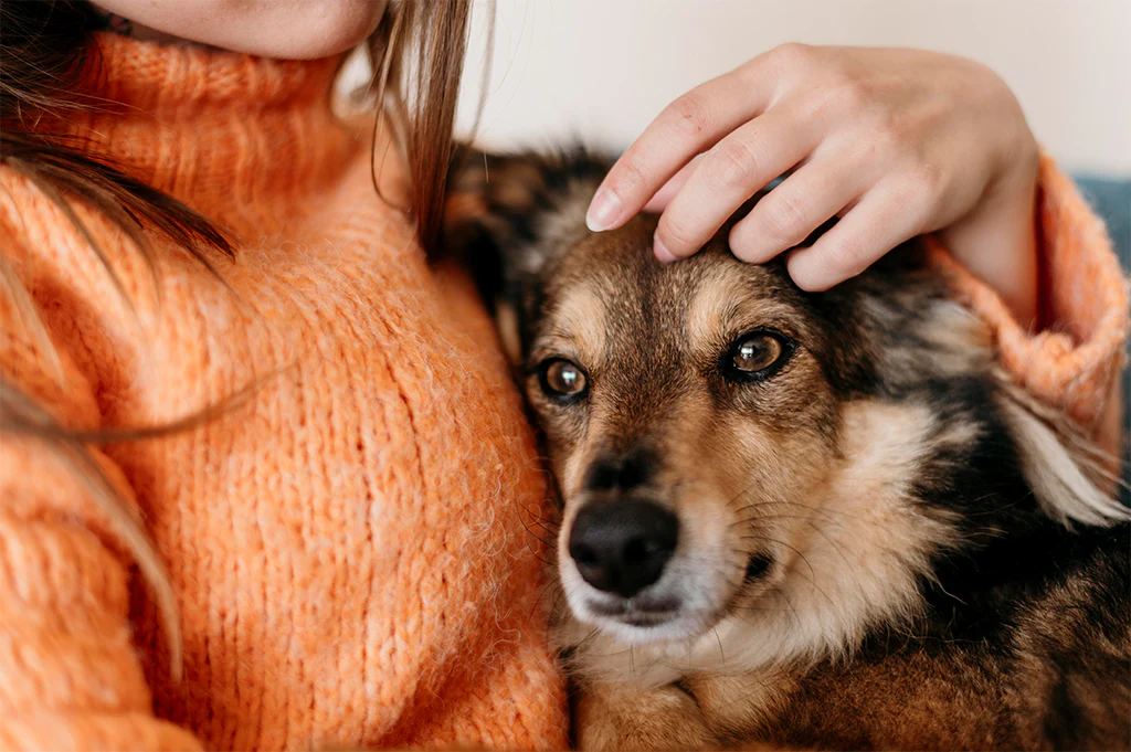 10 Easy Ways to Keep Your Pet Happy and Healthy